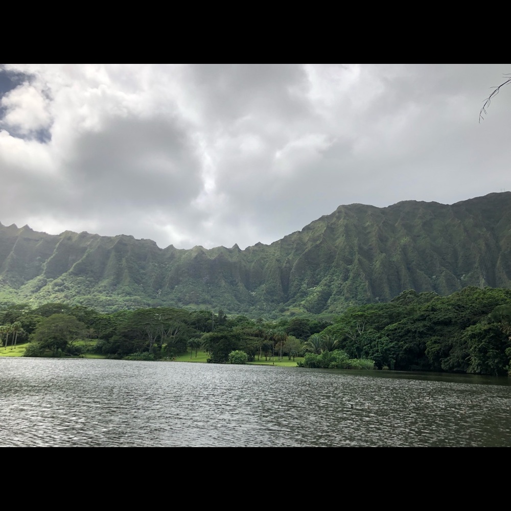 Meet your Posher, Norlene